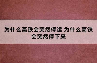 为什么高铁会突然停运 为什么高铁会突然停下来